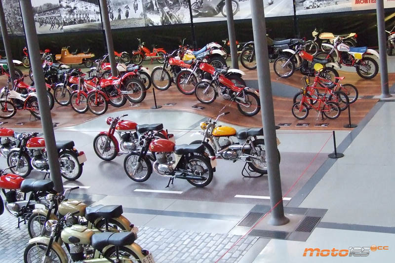 Viva Montesa