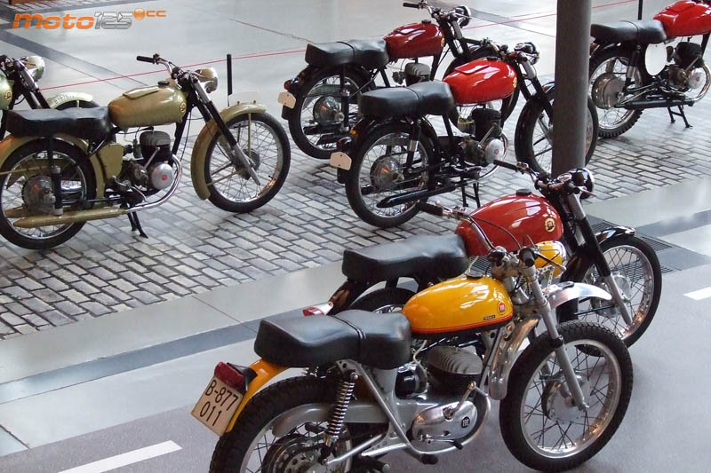 Viva Montesa