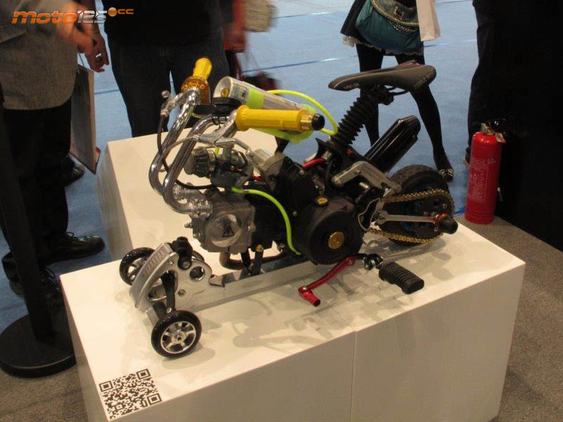Cimamotor 2013