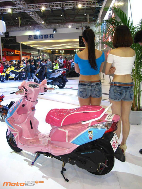 Jianshe Kitten