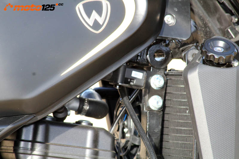 Wottan Rebbe 125