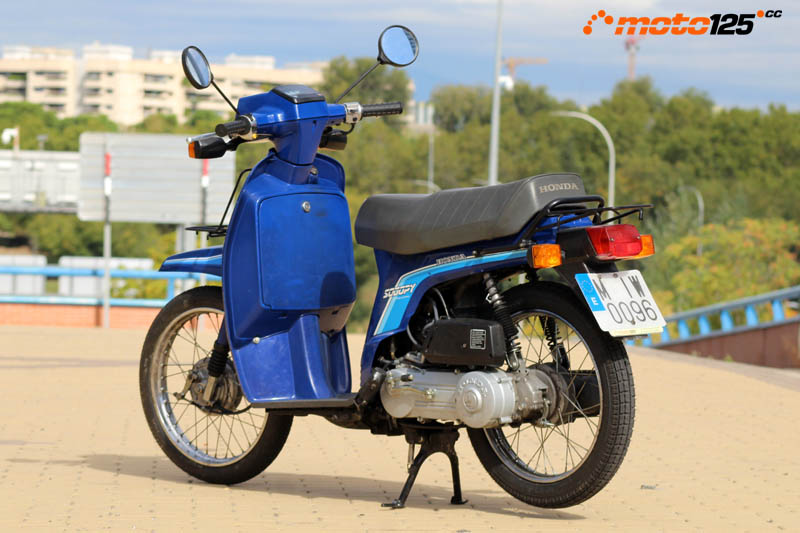 40 aniversario Honda SH/Scoopy