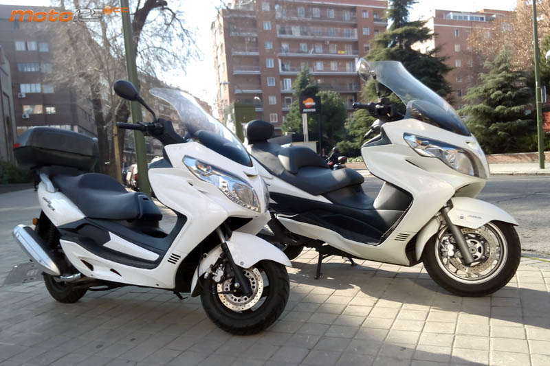 Riya Adonis 125
