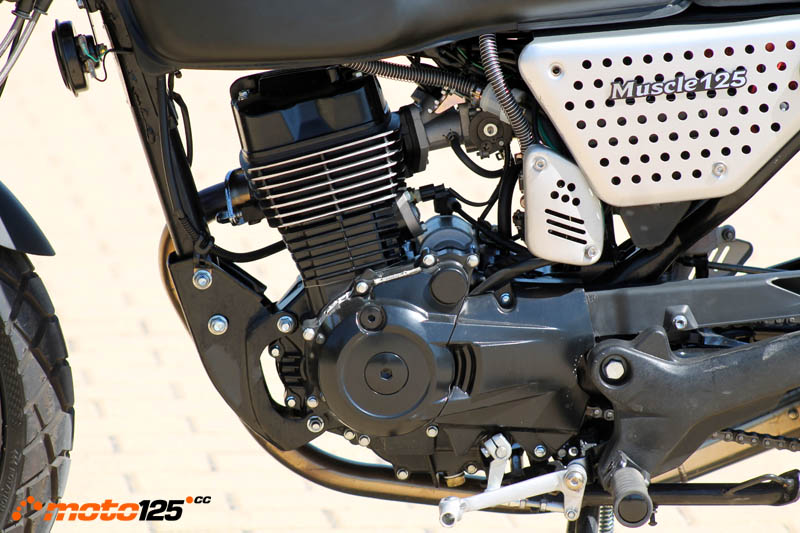 Hanway Muscle 125