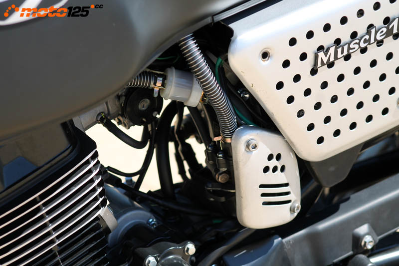 Hanway Muscle 125