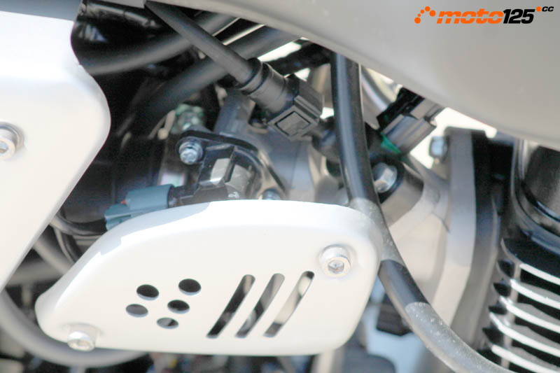 Hanway Muscle 125