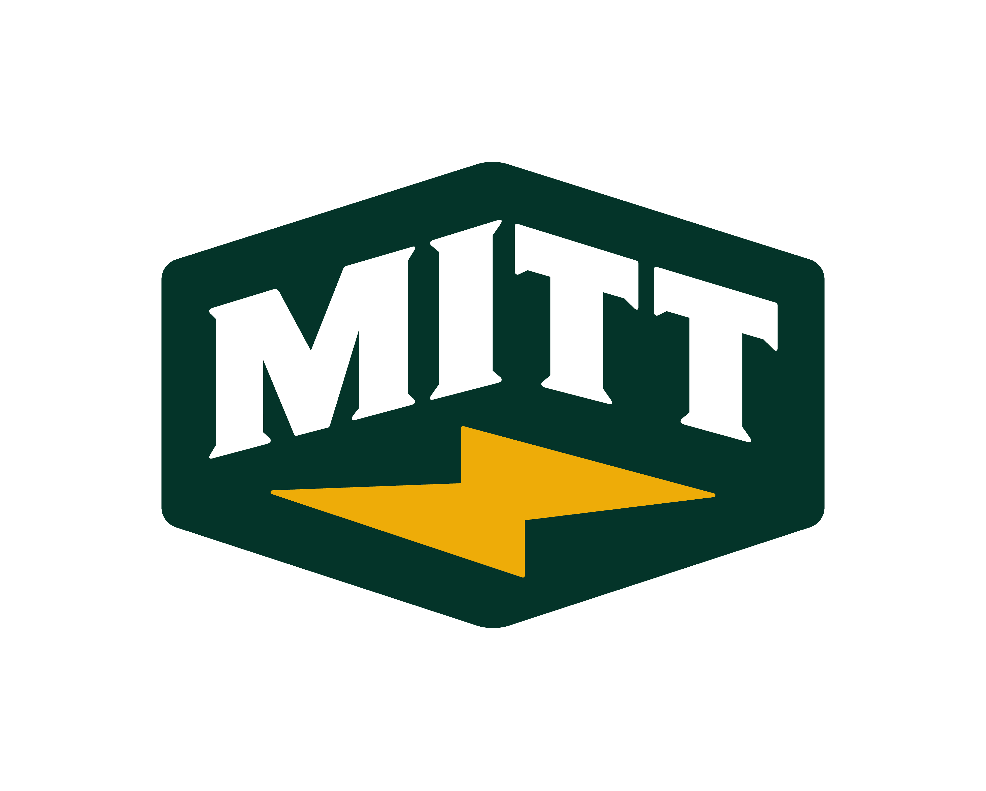 Mitt