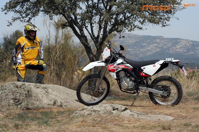 Rieju Marathon AC 125 - Cordero con piel de lobo