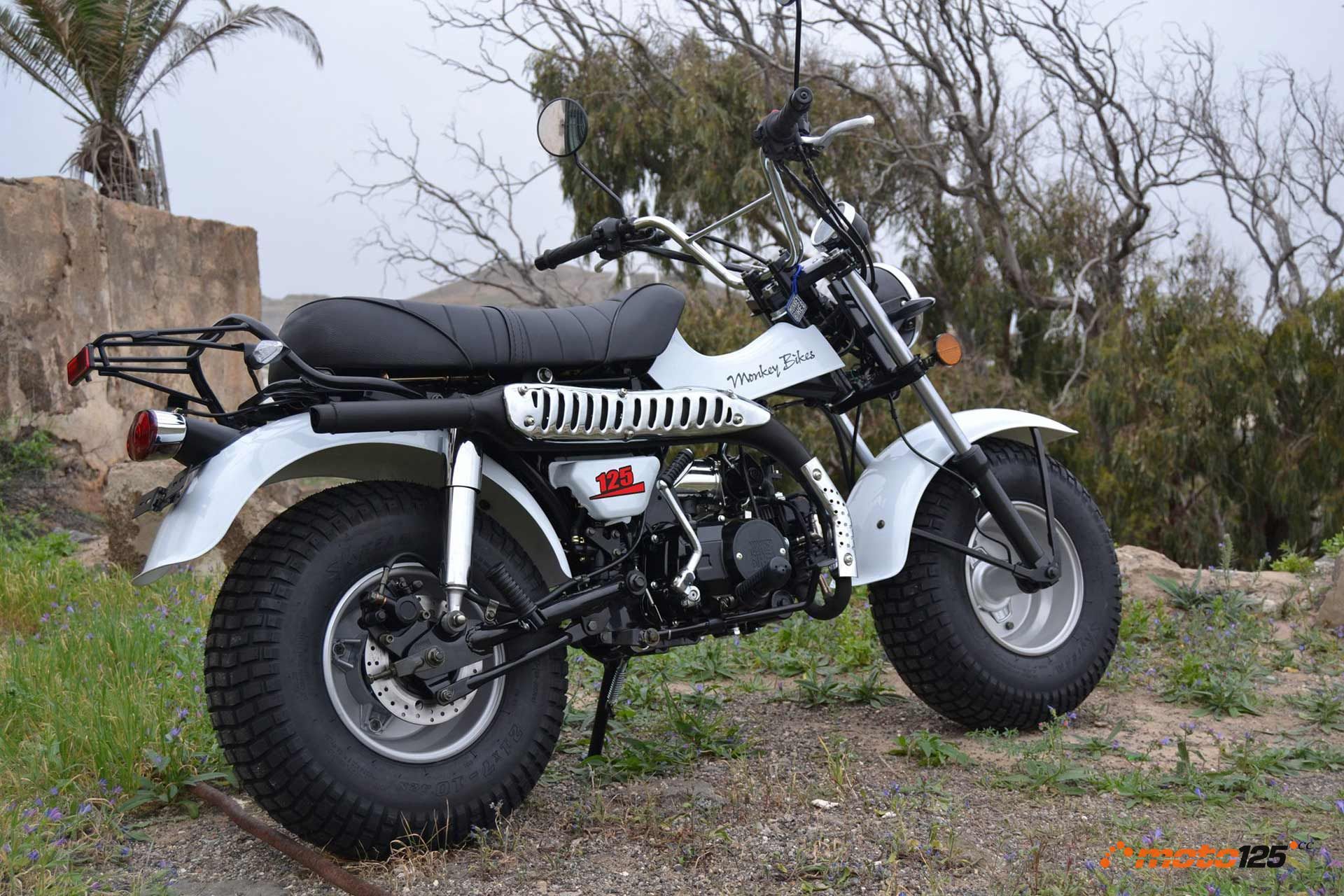 Monkey Bikes MB T-Rex 125
