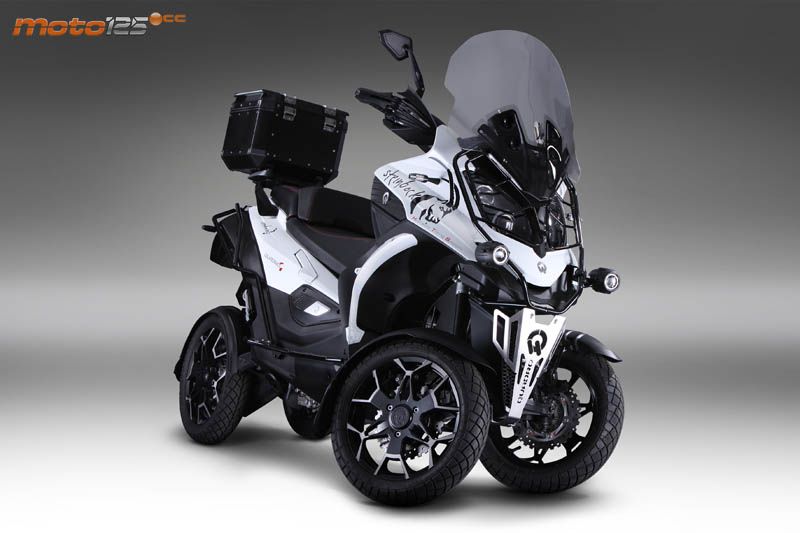 Quadro 4 Steinbock