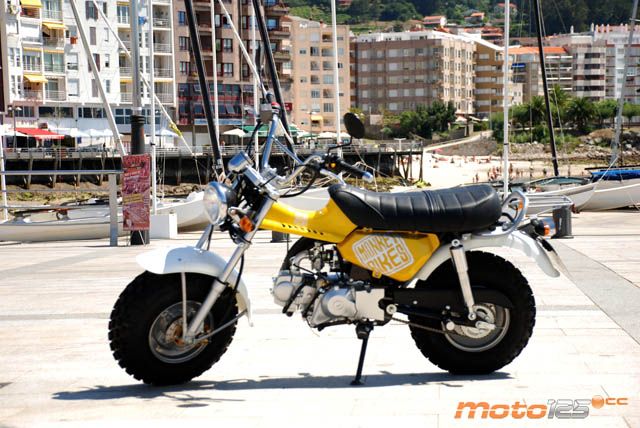 Sumco T-Rex 125