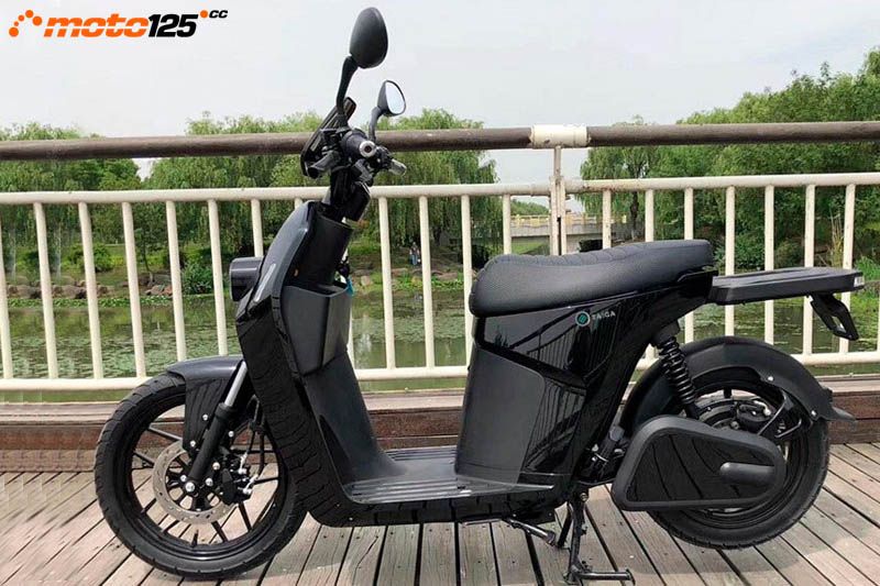 Wellta Taiga — foto 2