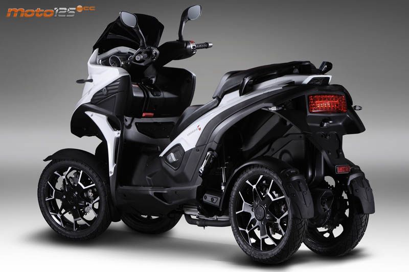 Quadro 4 — foto 4