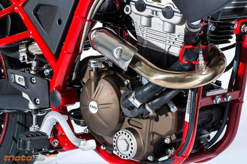 UM Reneg.ScramblerSport — foto 5