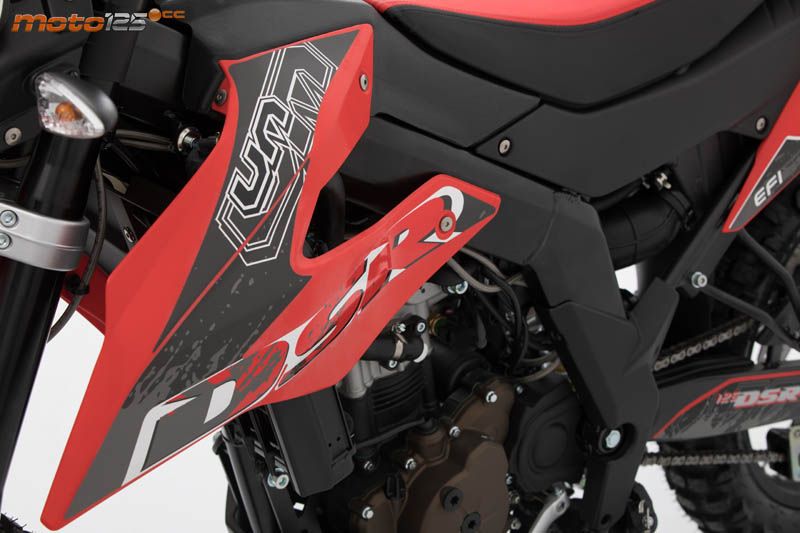 UM DSR EX 125 — foto 6