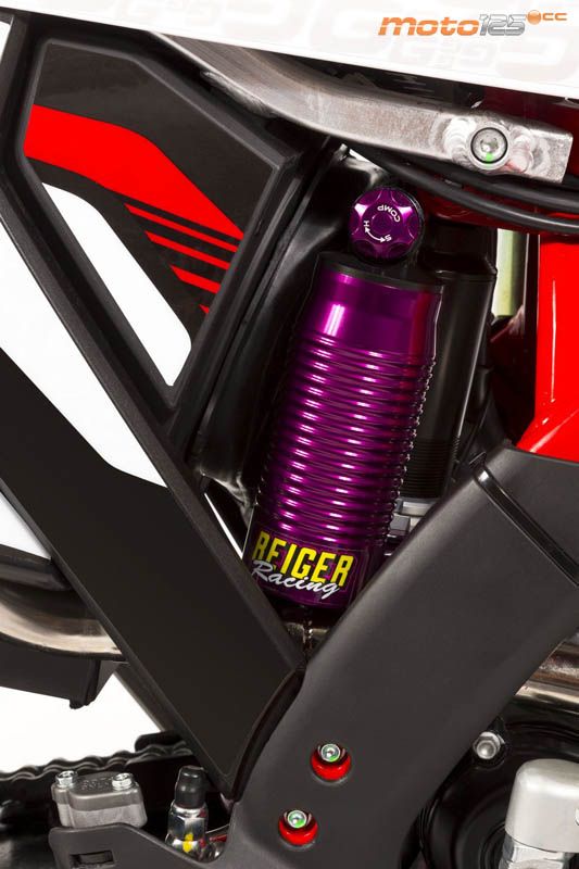 Gas Gas EC Racing 125 — foto 8