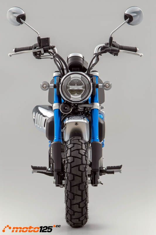 Honda Monkey 125 — foto 9