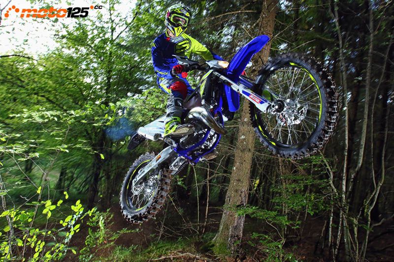 Sherco 125 SE Factory — foto 9