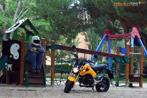 Honda MSX 125 - Salsa picante