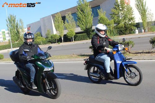 Honda SH125i Vetro 40º Aniversario - Rayos X